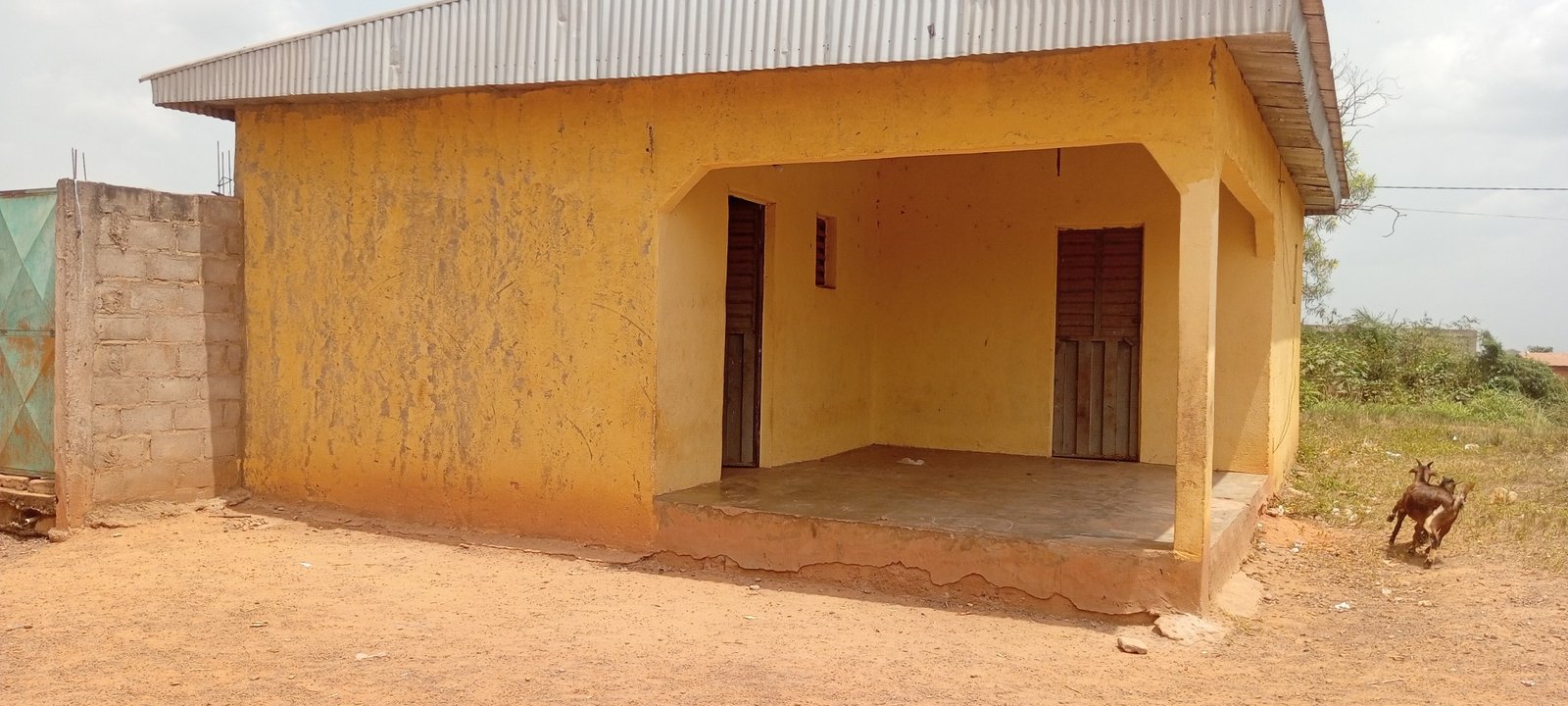 Nouranya